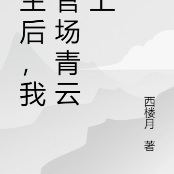 重生后,我在官场青云直上