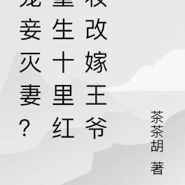 宠妾灭妻?重生十里红妆改嫁王爷
