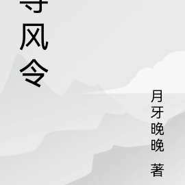 寻风令