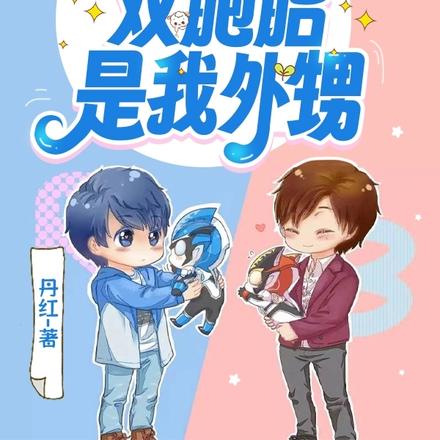 那对龙傲天双胞胎是我外甥