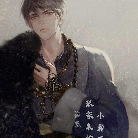 盗墓:张家来的小霸王