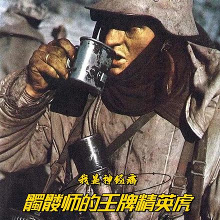 我有神经病:髑髅师的王牌精英虎
