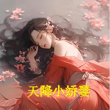 天降小娇妻糙汉玩命宠