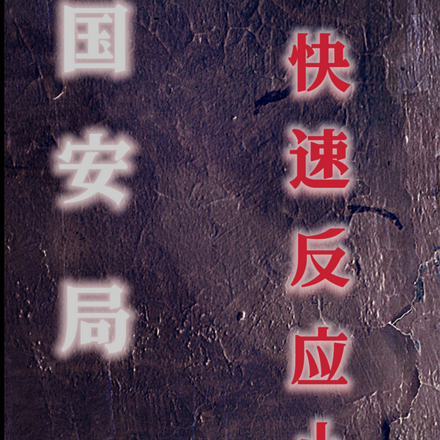 国安局:快速反应小组