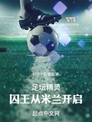 足坛精灵:囚王从米兰开启