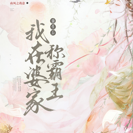 重生后,我在婆家称霸王