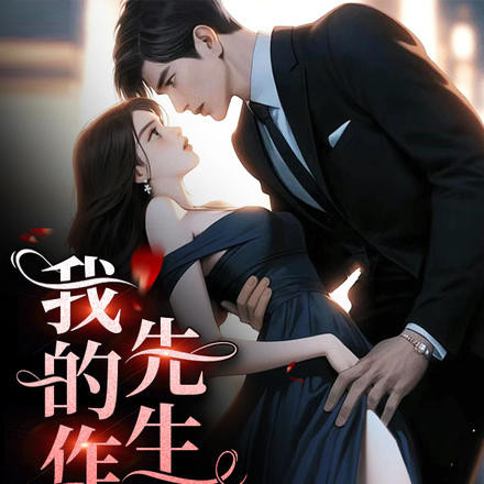 我的作家先生