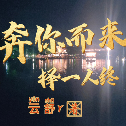 奔你而来,择一人终