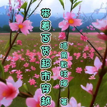 带着百货超市穿越