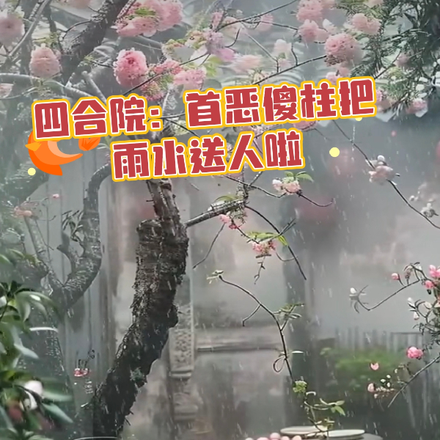 四合院:首恶傻柱把雨水送人啦