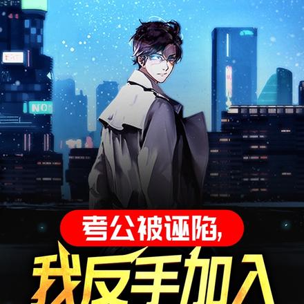 考公被诬陷,我反手加入国安局