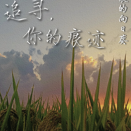 追寻，你的痕迹