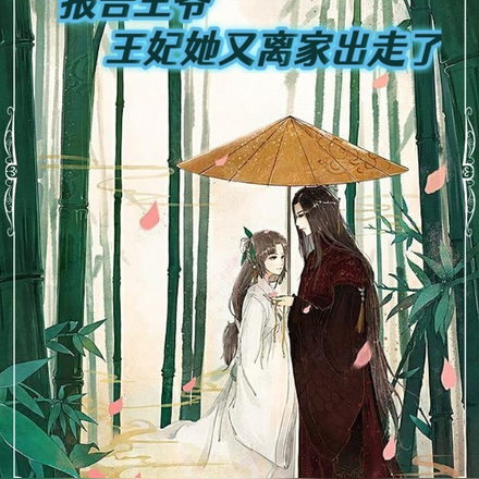 报告王爷,王妃她又离家出走了