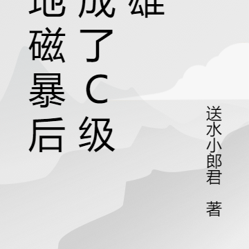 大地磁暴后我成了C级英雄