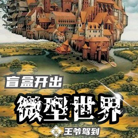 盲盒开出微型世界