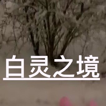 白灵之境