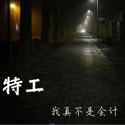 特工：我真不是会计