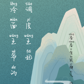 冷面王爷的调皮王妃