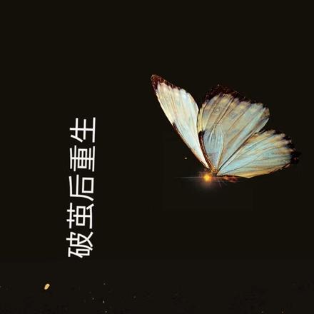 破茧后重生