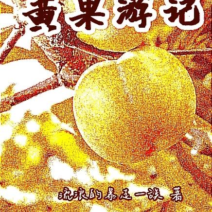 黄果游记