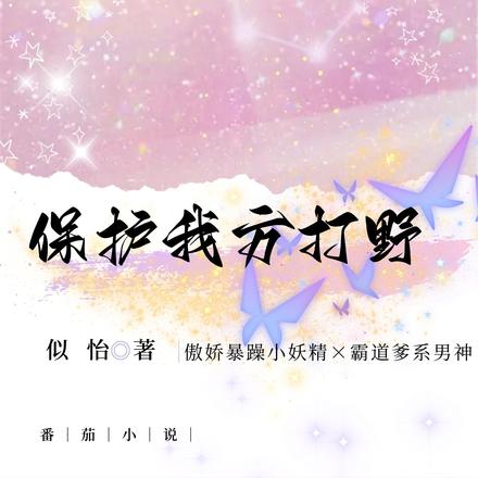 保护我方打野