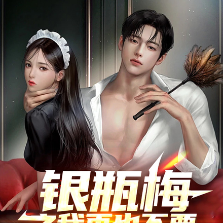 银瓶梅之我再也不要做掏水管工人