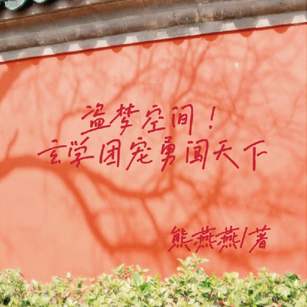 盗梦空间！玄学团宠勇闯天下