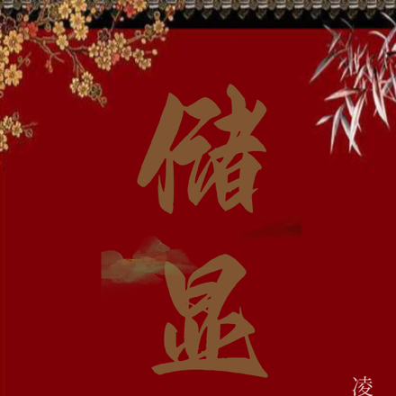 储显