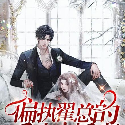 偏执翟总的重生小娇妻
