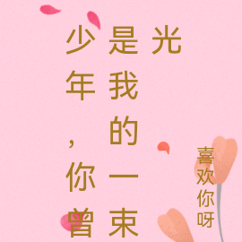 少年，你曾是我的一束光