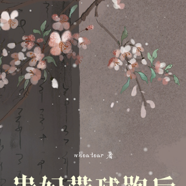 贵妃带球跑后，皇上得了失心疯