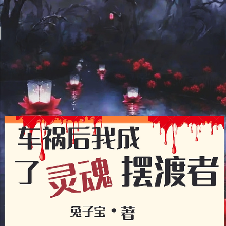 车祸后我成了灵魂摆渡者