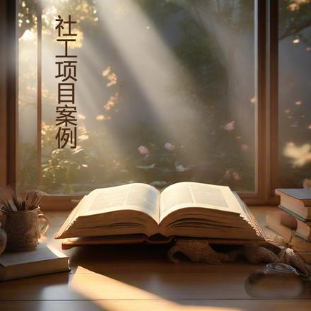 社工项目案例系列
