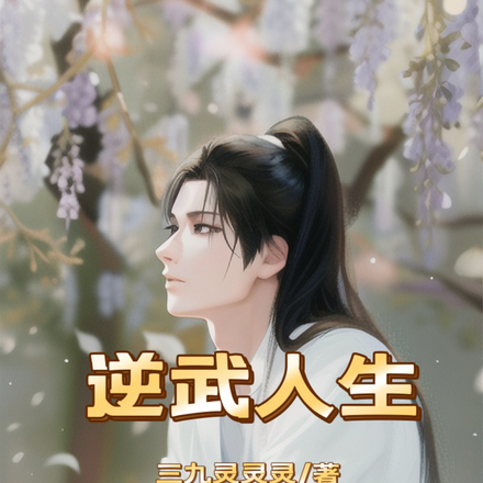 逆武人生