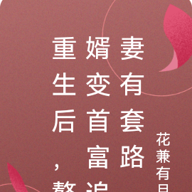 重生后,赘婿变首富追妻有套路