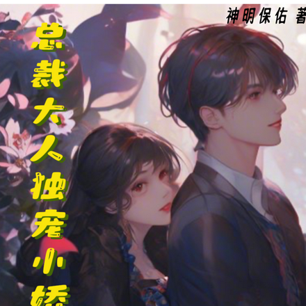 总裁大人独宠小娇妻