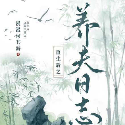 重生后之养夫日志