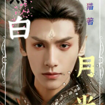 黑白月光