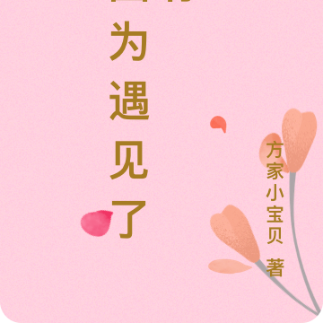 因为遇见了你