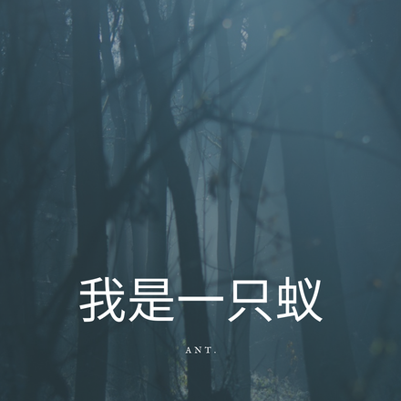 我是一只蚁