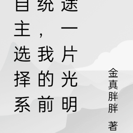 自主选择系统，我的前途一片光明