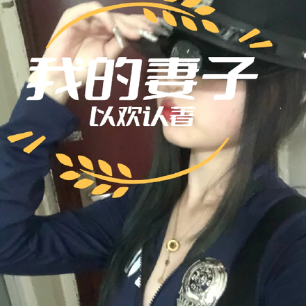 我的妻子是警察