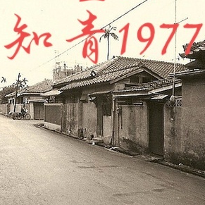 重生知青1977