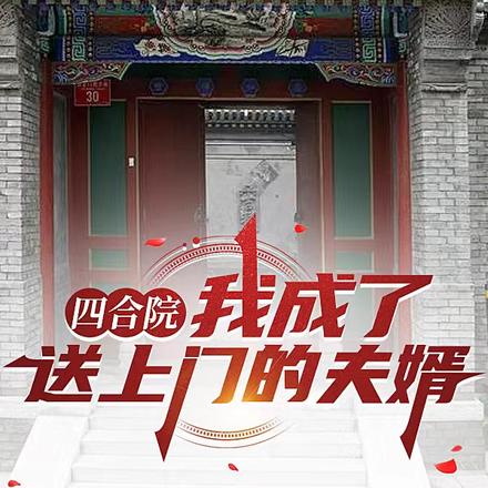 四合院:我成了送上门的夫婿