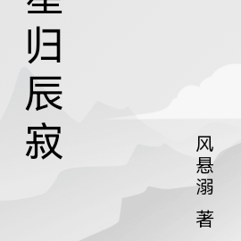 星归辰寂
