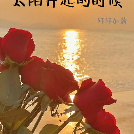 太阳升起的时候