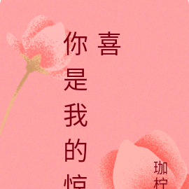 你是我的惊喜