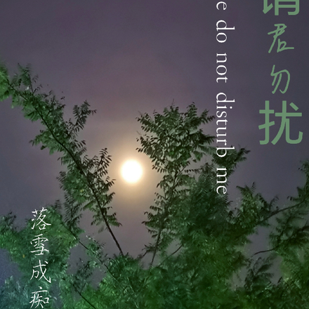请君勿扰