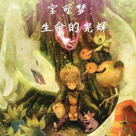 宝可梦：生命的光辉