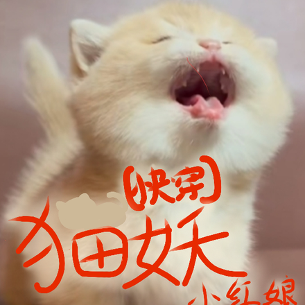 猫妖小红娘